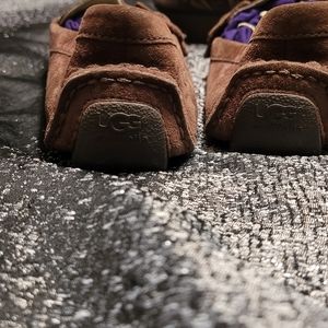 Ugg Suede Shoes